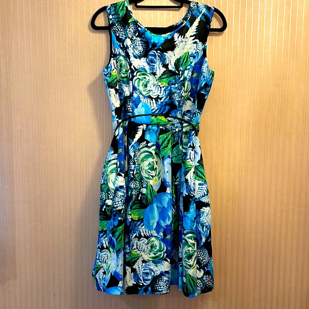Ellen Tracy Dress